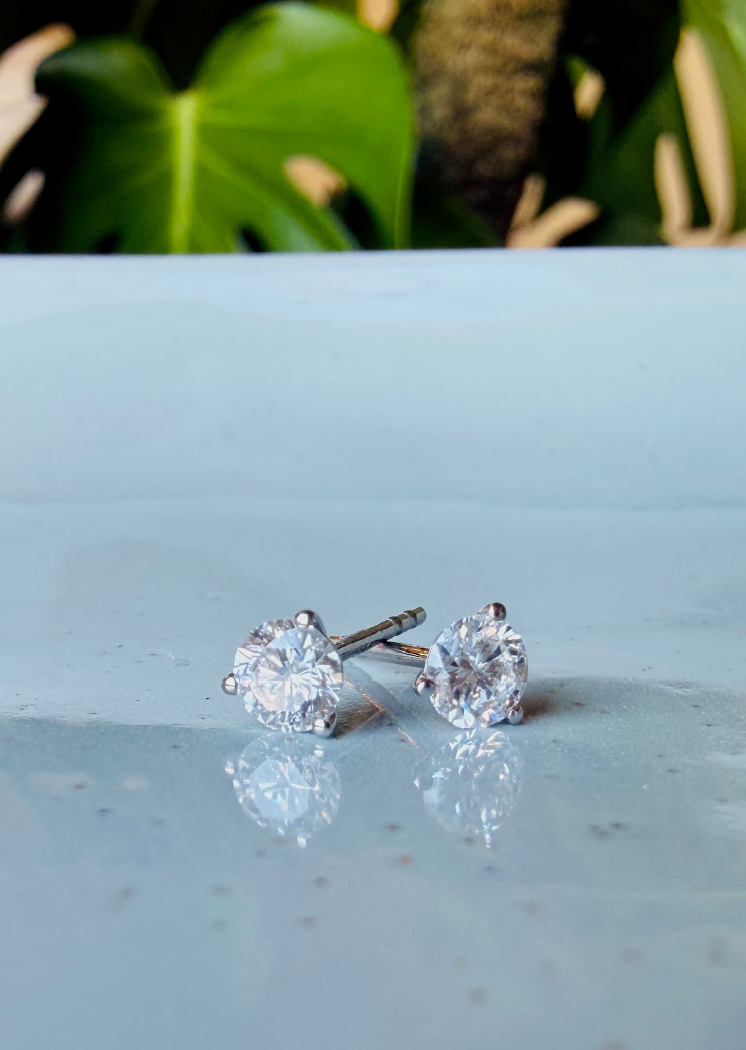 Hiya studs in white gold