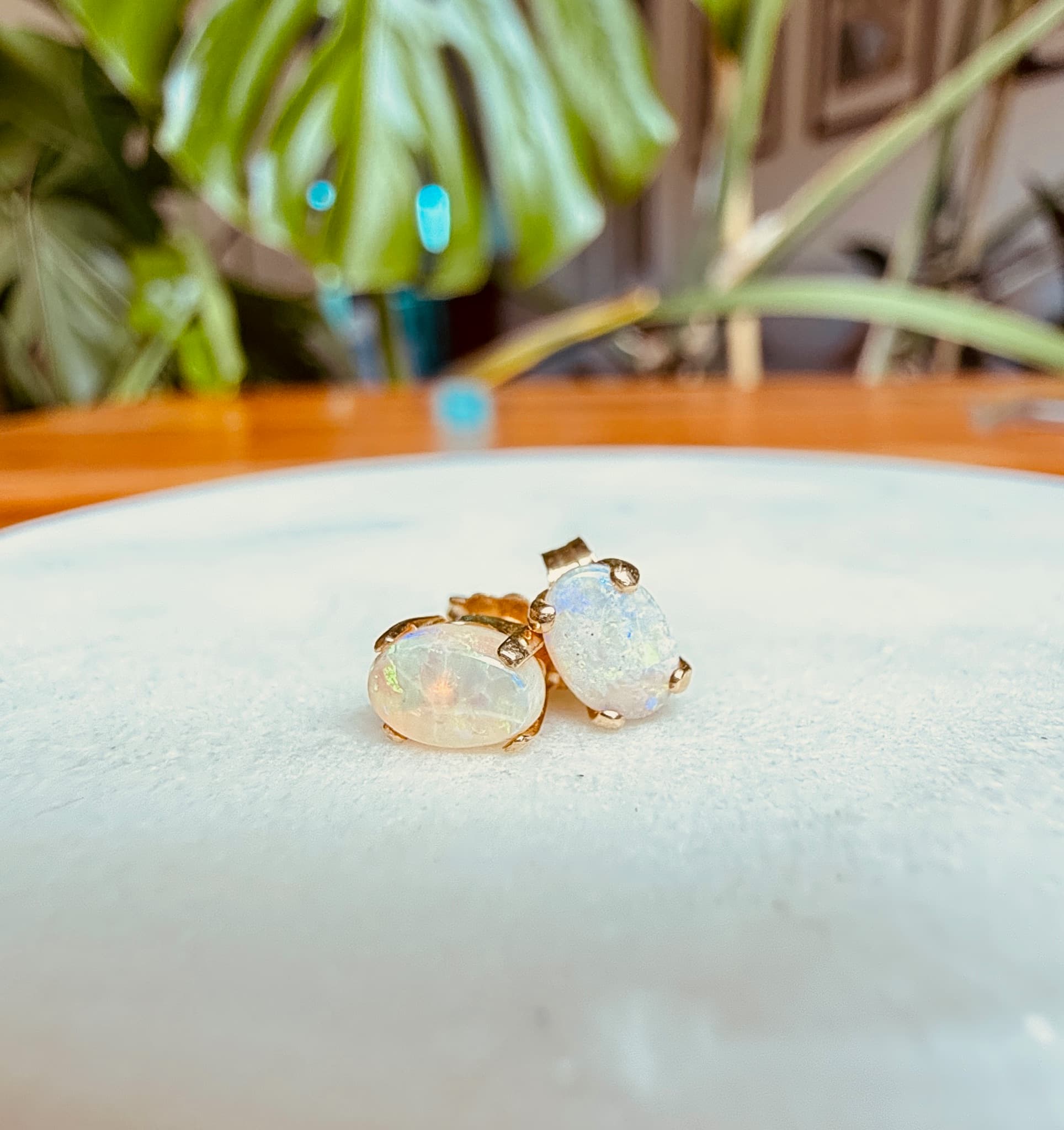 Opal stud earrings